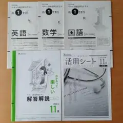 ベネッセ総合学力テスト11月