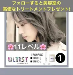 プリミエンス ⑪CGさ【アディクシー ホワイトブリーチ剤 アレスカラー同梱割有Bのサムネイル