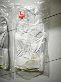 Item thumbnail for item 964e28ab-7a8e-407b-80bf-0ea775f0bfeb