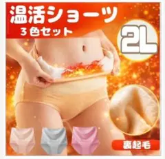 2L 腹巻ショーツ 湯たんぽ 裏起毛 ハイウエスト 温活 妊活 ショーツ