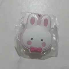 チアリーチャム サンリオ シークレットラバーミラーキーホルダー