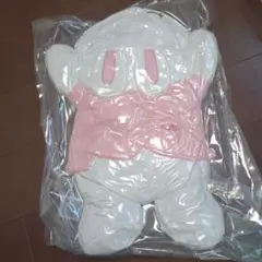 Item thumbnail for item d8303d91-80ec-4933-905f-944e2ce3cbc3