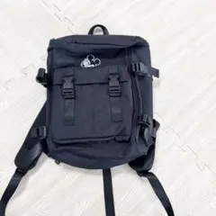 Item thumbnail for item 575c028e-39b7-45b2-9f42-49aa512cb7c5