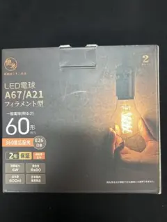 LED電球 A67/A21 フィラメント型 2個セット