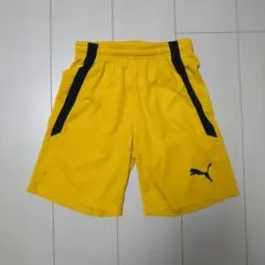 PUMA　プーマ　ハーフパンツ　黄色　150センチ