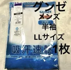 GUNZE 半袖 Tシャツ LLサイズ ホワイト　×1枚　抗菌防臭　吸汗速乾