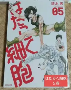 Item thumbnail for item fbffdab5-b9dc-449d-91da-669f95929561