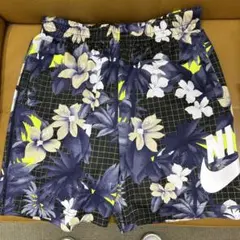 Nike SB ドライフィット　ハーフパンツ