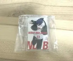 【即購入可】 桜遥 WIND BREAKER 一番くじ F賞 キーホルダー