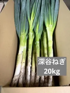 深谷ねぎ むきねぎ 20kg - メルカリ 【最終出品】 深谷ねぎ むきねぎ 20kg