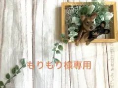 もりもり様専用