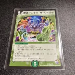 爆進イントゥ・ザ・ワイルド　爆進イントゥザワイルド　プロモ