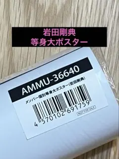 三代目JSOULBROTHERS岩田剛典 等身大ポスター