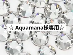 ☆Aquamana様専用☆