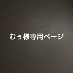 むぅ様専用オーダーページ