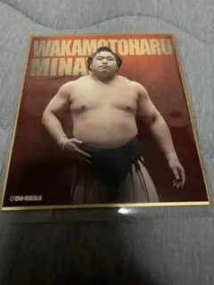 美品 WORKS ○ 高田延彦 桜庭和志 写真集プロレス レスリング 高田道場