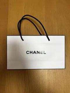 CHANEL シャネル ショップ袋 ショッパー