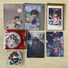 CRAZY RACCOON とっぴー6点セット