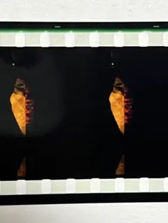 まどか☆マギカ　ワルプルギス　特典フィルム　フィルム