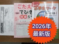 専用　5年テスト未使用 2026年最新】小学5年生 テストの人気アイテム - メルカリ