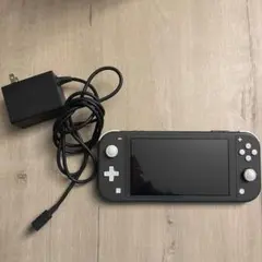 Nintendo Switch Lite グレー 充電器付き