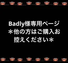 Badly様 リクエスト 3点 まとめ商品