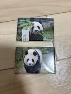 王子動物園 パンダタンタンクリアファイル 2種 - メルカリ