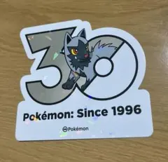 ステッカー 韓国限定 ポケモン ポップアップ 30周年ステッカー ポチエナのサムネイル