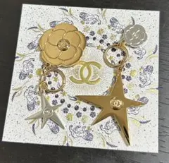 【2種類セット 】2025 最新シャネル　ホリデー　チャーム　ノベルティ