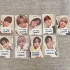 &TEAM アニマルトレカ 9枚セット ユニバ 雪明かり