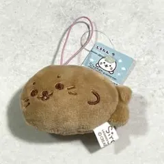 しろたん 第2回 プチ マスコット ver.R ブラウン 茶色
