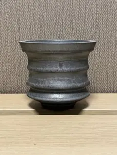 サマーセール！ 現地株 コピアポア シネレア 黒王丸 田中元将 作家鉢 2025年最新】田中元将 鉢の人気アイテム - メルカリ