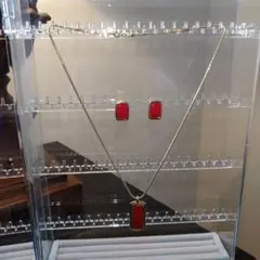 アメリカで購入♡ネックレス　ピアス　セット