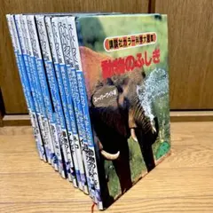 Item thumbnail for item 7cee476b-7c00-4080-b80e-e36d41a03c22