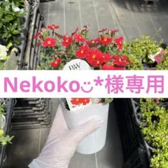 Nekoko◡̈︎*様専用