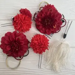髪飾り　5点セット　卒業式　成人式　七五三　結婚式　ヘアアクセサリー　花　赤