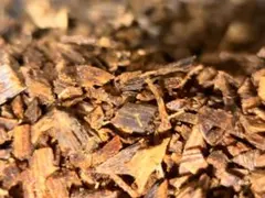 希少】 木箱付 伽羅 香木 約22g｜沈香 香道 聞香 六国五味