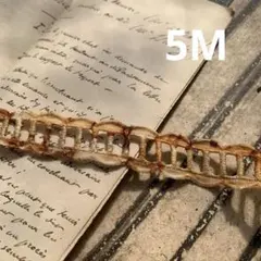 1点のみ☆ ジャンクジャーナル素材☆錆染めヴィンテージcottonレースS