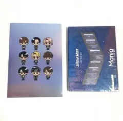 SnowMan LIVE TOUR 2021 Mania 通常盤Blu-ray