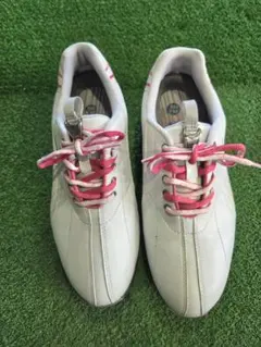 Mizuno ゴルフシューズ DS-023　24cmのサムネイル