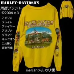 00s ハーレーダビットソン フレイム ファイヤー 列車 コピーライト ロンT