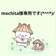 mochita様専用です(*^^*)/