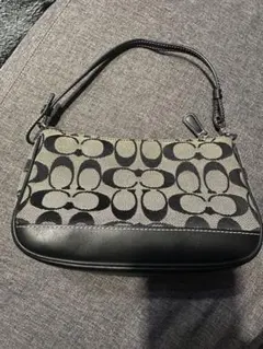 COACH アクセサリーポーチ ワンショルダー ブラック 6094