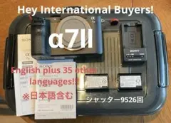 2026年最新】α7CII バッテリーの人気アイテム - メルカリ