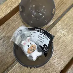 SKZOO　つまんで つなげて　ますこっと　ハンクォッカ　リービット