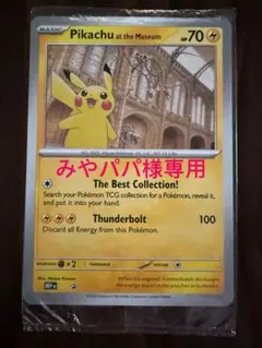 2026年最新】ロンドン ピカチュウの人気アイテム - メルカリ