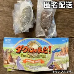 ダーウィンが来た！ ミニチュアフィギュア　マヌルネコ　２種セット　新品