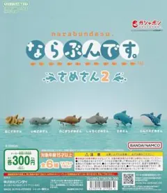 ならぶんです　さめさん2 3体セット