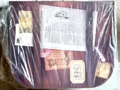 スーパードルフィー お人形遊び