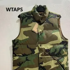 Item thumbnail for item 5c90cb47-9ab1-49e8-9aa9-42f8f295235d